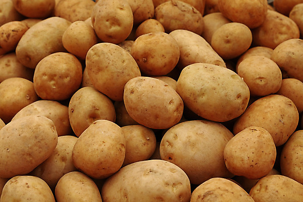 포토 JPG 해외이미지 음식 백그라운드 패턴 농업 채소 재료 새로움 감자 건강 사람없음 농작물 농장 노란색 수확 흰색 신선 시장 닫기 유기농 질감 날것 각도 소매 흙더미 많음 해외202004 해외포토 웰빙 산업 컬러 컨셉 무늬 모션 흙 파일형식 더미 이미지허브