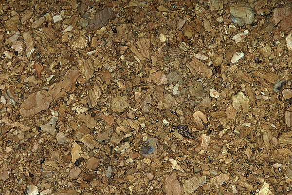 포토 JPG 해외이미지 백그라운드 표면 새로움 실내 사람없음 목재 갈색 묘사 질감 내추럴 코르크보드 해외202004 해외포토 나무 컬러 컨셉 재료 알림판 내부 파일형식 이미지허브