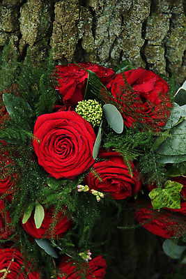 포토 JPG 해외이미지 식물 꽃잎 꽃 꽃다발 자연 사람없음 빨간색 초록색 장미 배열 꽃집 질감 아이비 구성 섞기 유칼립투스 해외202004 해외포토 컬러 상점 생태계 파일형식 이미지허브