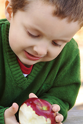 포토 JPG 해외이미지 백인 남자 행복 얼굴 어린이 음식 과일 건강 한명 미소 사람 소년 야외 빨간색 청춘 환경 성장 잡기 맛 사과 먹기 배고픔 토막 내추럴 해외202004 해외포토 서양인 1 감정 컬러 컨셉 모션 표정 신체부위 파일형식 이미지허브