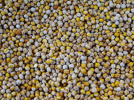 포토 JPG 해외이미지 조각 여행 백그라운드 과일 휴가 새해 건조 사탕 선물 씨앗 사람없음 쌓기 쿠키 요식업 초콜릿 축제 신선 체리 조직 달콤 가루 영화관 굽기 유기농 날것 소금 깨 양귀비 꿀 칠면조 녹말 단백질 대두 병아리콩 짠맛 채식주의자 특별함 핵심 해외202004 해외포토 식물 웰빙 꽃 산업 컨셉 식재료 모션 조류 디저트 콩 조미료 맛 극장 구이 채식 영양소 파일형식 이미지허브