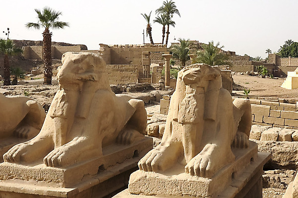 포토 JPG 해외이미지 모래 오렌지 하늘 이집트 사람없음 건물 태양 조각상 노란색 힘 블록 사막 골동품 바위 죽음 무덤 아내 사찰 역사 기자 재산 사자 큼 왕 묘사 호기심 피라미드 암초 스핑크스 복잡 카이로 파라오 생존 카피스페이스 해외202004 해외포토 자연요소 직업 건축물 감정 컬러 컨셉 과일 포유류 종교건축 아프리카 금융 조형물 공백 돌_바위 크기 랜드마크 파일형식 이미지허브