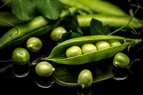 포토 JPG 해외이미지 실내 근접촬영 사람없음 아웃포커스 완두콩 꼬투리 해외202004 해외포토 뷰포인트 콩 촬영기법 내부 파일형식 이미지허브