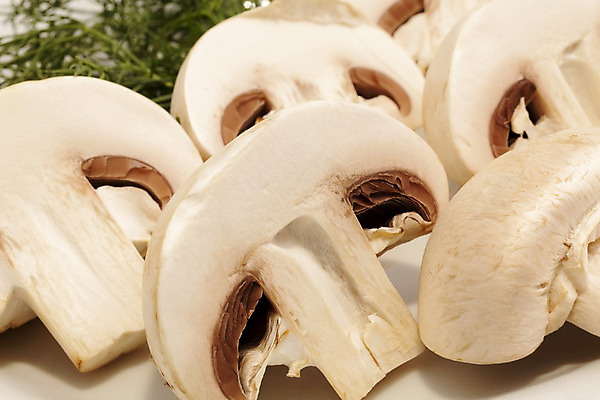 포토 JPG 해외이미지 음식 조각 채소 재료 건강 사람없음 쌓기 버섯 흰색 신선 원형 그룹 오브젝트 유기농 날것 슬라이스 내추럴 채식주의자 해외202004 해외포토 도형 웰빙 컬러 모션 채식 파일형식 이미지허브