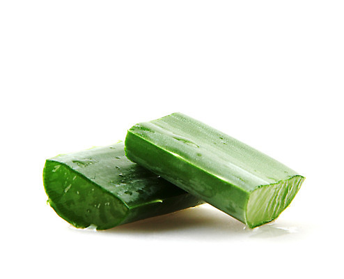 포토 JPG 해외이미지 식물 꽃 줄기 백그라운드 잎 재료 자연 선인장 건강 사람없음 초록색 물 빛 약 주스 화장품 활발 젖음 사막 성장 흰색 신선 가시 닫기 떨어짐 허브 피부 순수 묘사 스킨케어 스파이크 고립 넘어짐 돌봄 알로에 억울 해외202004 해외포토 자연요소 감정 음료 컬러 컨셉 의학 모션 신체부위 뷰티 생태계 파일형식 이미지허브