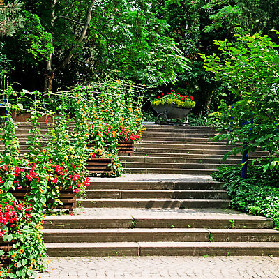 포토 JPG 해외이미지 나무 식물 계절 공원 꽃 화분 길 백그라운드 사다리 자연 풍경 사람없음 야외 초록색 여름 평화 계단 정원 침묵 봄 바위 숲 원예 화단 일반 해외202004 해외포토 공공시설 컬러 컨셉 취미 소리 돌_바위 도구 생태계 파일형식 이미지허브