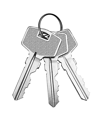 포토 JPG 해외이미지 디자인 백그라운드 컨셉 비즈니스 열쇠 새로움 주택 안전 사람없음 빛 세트 문 금속 흰색 반지 그룹 재산 닫기 은색 철 입장 심볼 오브젝트 사인 잠금 보안 통나무 고립 철강 해외202004 해외포토 나무 컬러 장신구 모션 재질 건물 금융 파일형식 이미지허브