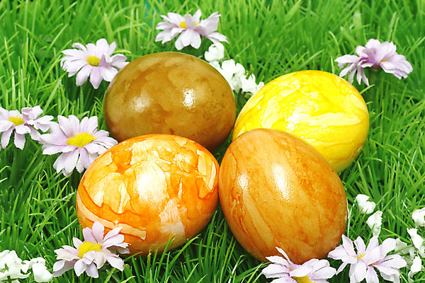 포토 JPG 해외이미지 전통 꽃 부활절 사람없음 장식 컬러풀 봄 그리기 둥지 플라스틱 부활절계란 해외202004 해외포토 식물 계절 기념일 컬러 모션 재질 계란 파일형식 이미지허브