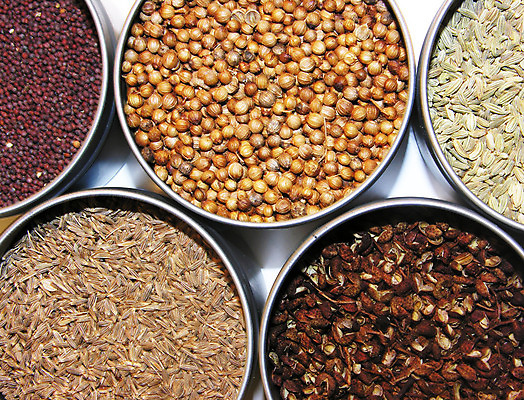 포토 JPG 해외이미지 음식 백그라운드 재료 고추 3 요리 씨앗 사람없음 빨간색 식사 저녁식사 뜨거움 고수 맛 머스터드 허브 향신료 오브젝트 질감 향료 후추 회향 해외202004 해외포토 식물 컬러 컨셉 채소 소스_음식 향기 냄새 향미료 파일형식 이미지허브