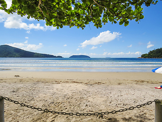 포토 JPG 해외이미지 나무 구름 계절 모래 파도 바다 섬 여행 백그라운드 잎 자연 하늘 휴가 휴식 손바닥 풍경 사람없음 야외 초록색 물 여름 파란색 햇빛 태양 우주 맑음 일몰 흰색 휴양지 장면 파라다이스 해외202004 해외포토 자연요소 식물 손 컬러 컨셉 날씨 노을 장소 생태계 파일형식 이미지허브