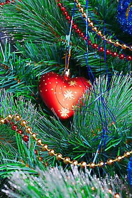 포토 JPG 해외이미지 나무 전통 계절 크리스마스장식 크리스마스 겨울 목걸이 공 유리 휴가 새해 기념 사람없음 장식 빨간색 빛 축제 장식볼 나뭇가지 하트 축하 악단 원형 12월 활 상록수 침엽수 마법 전나무 여의주 인공 해외202004 해외포토 모양 도형 식물 기념일 음악 컬러 컨셉 장신구 재질 날짜 파일형식 이미지허브