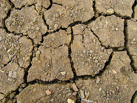 포토 JPG 해외이미지 지구 백그라운드 아프리카 자연 추상 건조 사람없음 글로벌 갈색 환경 황무지 위험 부식 진흙 가뭄 땅바닥 재앙 해외202004 해외포토 나라 컬러 컨셉 무늬 날씨 바닥 생태계 파일형식 이미지허브
