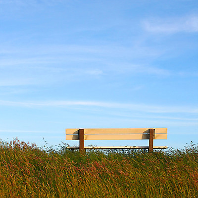 포토 JPG 해외이미지 식물 계절 백그라운드 밭 벤치 자연 하늘 휴식 파노라마 앉기 풍경 잔디 사람없음 야외 초록색 여름 파란색 빛 컬러풀 햇빛 농장 노란색 환경 정원 맑음 봄 시골 신선 땅 밭일 생태학 혼자 수평선 해외202004 해외포토 교육 컬러 컨셉 농업 의자 모션 날씨 촬영기법 태양 생태계 파일형식 이미지허브