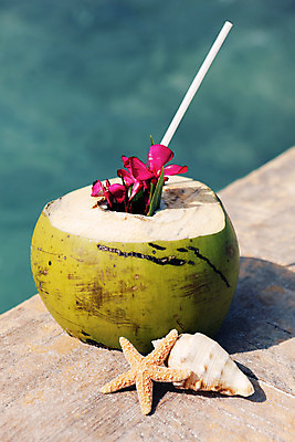 JPG 해외이미지 바다 빨대 사람없음 야외 조개껍데기 열대꽃 코코넛주스 해외포토 포토 꽃 조개 주스 코코넛 파일형식 이미지허브