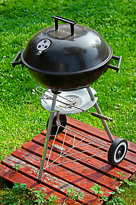 포토 JPG 해외이미지 자연 잔디 사람없음 야외 초록색 소풍 검은색 시골 그릴 바비큐 굽기 뒤뜰 해외202004 해외포토 식물 음식 컬러 주방용품 야외활동 구이 생태계 파일형식 이미지허브