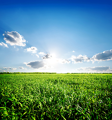 포토 JPG 해외이미지 식물 구름 계절 백그라운드 밭 농업 자연 하늘 날씨 풍경 잔디 사람없음 야외 초록색 여름 파란색 컬러풀 햇빛 태양 농장 맑음 봄 활발 흰색 시골 신선 땅 장면 천국 내추럴 밭일 파라다이스 평야 수평선 해외202004 해외포토 자연요소 산업 컬러 컨셉 생태계 파일형식 이미지허브
