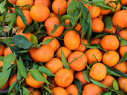 포토 JPG 해외이미지 음식 백그라운드 잎 오렌지 과일 귤 건강 사람없음 껍질 시골 신선 원형 그룹 달콤 내추럴 해외202004 해외포토 도형 식물 맛 파일형식 이미지허브