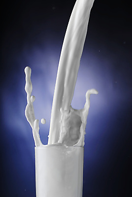 포토 JPG 해외이미지 사람없음 우유 흰색 액체 붓기 액체표현 해외202004 해외포토 컬러 모션 유제품 순간포착 파일형식 이미지허브