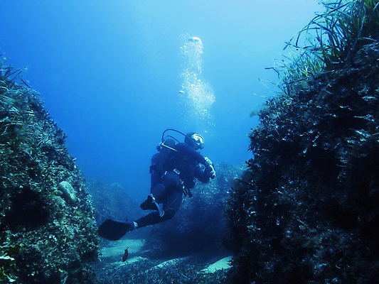 포토 JPG 해외이미지 전신 바다 백그라운드 한명 성인 취미 바닷속 수중 탐험 잠수부 암초 성인한명만 해외202004 해외포토 1 사람 전문직 성인만 파일형식 이미지허브
