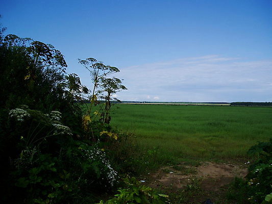 포토 JPG 해외이미지 구름 계절 백그라운드 밭 자연 하늘 바람 날씨 파노라마 풍경 사람없음 야외 가로 여름 파란색 빛 평화 우주 맑음 분위기 내추럴 몽환 막 해외202004 해외포토 자연요소 컬러 컨셉 농업 촬영기법 생태계 파일형식 이미지허브