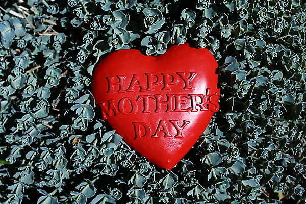 포토 JPG 해외이미지 식물 가족 엄마 사람없음 정원 봄 하트 축하 인사 5월 감사 엽서 어머니의날 해외202004 해외포토 모양 계절 기념일 감정 컨셉 관계 예절 날짜 편지 미국문화 파일형식 이미지허브