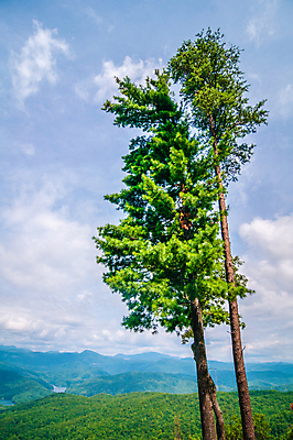 포토 JPG 해외이미지 구름 공원 호수 여행 포크 자연 아침 산 파노라마 풍경 사람없음 야외 물 파란색 태양 반사 일출 골짜기 일몰 캠핑 하이킹 연기 숲 땅 언덕 산등성이 남쪽 해외202004 해외포토 주간 자연요소 식기 공공시설 컬러 레저 촬영기법 노을 방향 생태계 파일형식 이미지허브