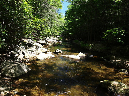 포토 JPG 해외이미지 자연 산 풍경 사람없음 야외 초록색 물 강 바위 시골 개울 숲 해외202004 해외포토 자연요소 컬러 돌_바위 생태계 파일형식 이미지허브