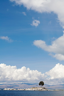 포토 JPG 해외이미지 나무 구름 호수 바다 섬 컨셉 사람없음 물 싱글 멀리 고립 볼리비아 페루 해외202004 해외포토 자연요소 식물 아메리카 남아메리카 파일형식 이미지허브