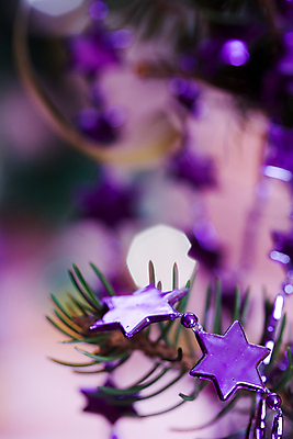 포토 JPG 해외이미지 나무 별 백그라운드 크리스마스 휴가 새해 사람없음 장식 축하 전나무 해외202004 해외포토 자연요소 식물 기념일 컨셉 파일형식 이미지허브