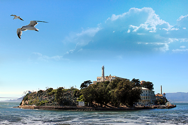 포토 JPG 해외이미지 주간 구름 해외풍경 섬 두마리 갈매기 하늘 해변 사람없음 야외 미국 캘리포니아 알카트라스섬 해외202004 해외포토 자연요소 해외 바다 2 북아메리카 조류 풍경 파일형식 이미지허브