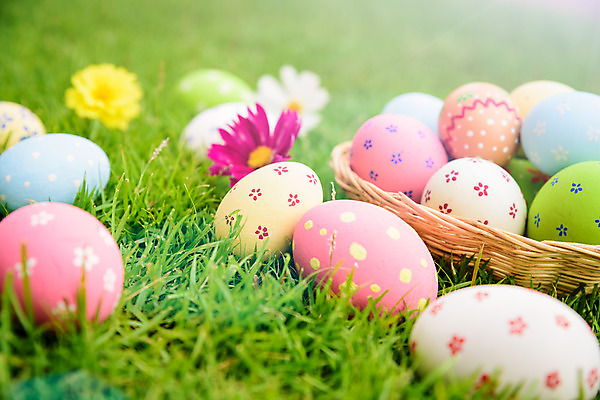 포토 JPG 해외이미지 전통 디자인 계절 꽃 행복 종교 음식 백그라운드 컨셉 자연 하늘 휴가 부활절 사람없음 야외 장식 초록색 파란색 컬러풀 노란색 바구니 우주 계란 축제 봄 흰색 축하 그리기 그룹 닫기 4월 심볼 사냥 줄서기 해외202004 해외포토 식물 기념일 감정 컬러 모션 알 날짜 생태계 파일형식 이미지허브