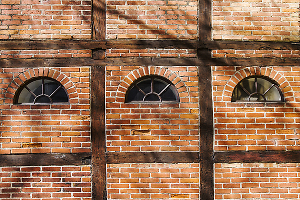 포토 JPG 해외이미지 식물 건축물 벽 건축양식 창문 자연 벽돌 주택 덴마크 사람없음 목재 아욱 해외202004 해외포토 나무 건축 재료 북유럽 건물 생태계 파일형식 이미지허브