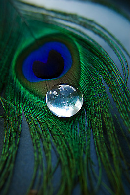 포토 JPG 해외이미지 백그라운드 패턴 자연 유리 조류 추상 프레임 기술 사람없음 장식 초록색 물 파란색 빛 활발 바위 우아함 떨어짐 공작 깃털 묘사 오브젝트 유기농 질감 꼬리 강렬 웅장함 완전 해외202004 해외포토 자연요소 동물 웰빙 컬러 컨셉 무늬 재질 돌_바위 생태계 파일형식 이미지허브