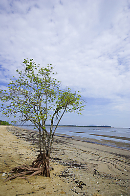 포토 JPG 해외이미지 나무 구름 계절 실루엣 파도 바다 여행 백그라운드 오렌지 자연 하늘 추상 휴가 서기 풍경 사람없음 야외 목재 물 여름 파란색 컬러풀 태양 갈색 평화 일출 맑음 보라색 침묵 일몰 젖음 흰색 나뭇가지 죽음 뜨거움 황금 저녁 옛날 해외202004 해외포토 자연요소 식물 컬러 컨셉 무늬 과일 재료 모션 날씨 촬영기법 노을 소리 야간 생태계 파일형식 이미지허브