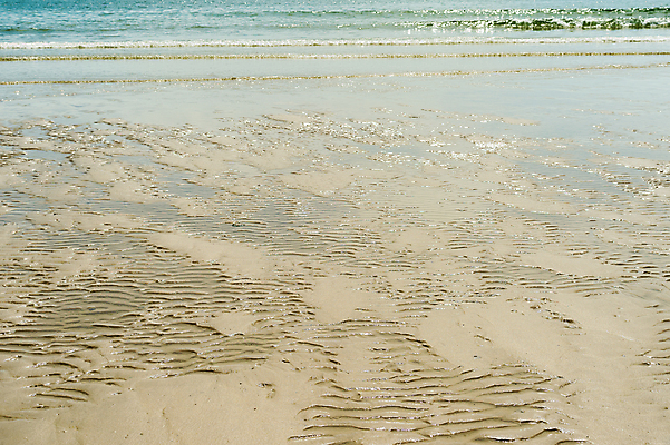 포토 JPG 해외이미지 물결 모래 파도 바다 백그라운드 패턴 자연 바람 추상 휴가 그림자 사람없음 여름 모래사장 갈색 노란색 우주 맑음 황금 묘사 질감 웨이브 내추럴 해외202004 해외포토 자연요소 계절 컬러 무늬 날씨 생태계 파일형식 이미지허브