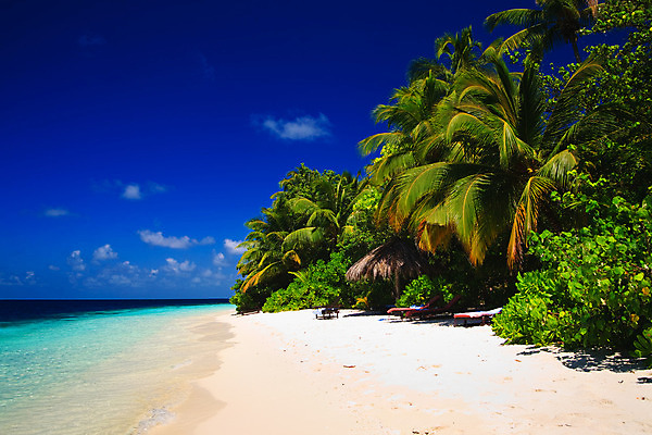 포토 JPG 해외이미지 나무 식물 구름 모래 파도 바다 섬 여행 잎 자연 하늘 휴가 휴식 손바닥 풍경 사람없음 야외 물 여름 파란색 햇빛 태양 여행객 수영 침묵 만 휴양지 장면 태평양 암초 세이셸 석호 몰디브 터키석 수평선 해외202004 해외포토 자연요소 손 계절 아시아 컬러 컨셉 아프리카 사람 소리 장소 수상스포츠 보석 생태계 파일형식 이미지허브