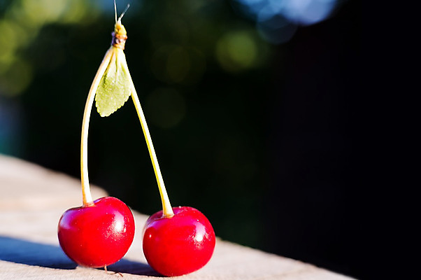 포토 JPG 해외이미지 커플 열매 음식 줄기 백그라운드 잎 2 다이어트 과일 텍스트 자연 탁자 디저트 건강 사람없음 목재 빨간색 여름 우주 정원 수확 흰색 신선 체리 그룹 달콤 맛 떨어짐 책상 유기농 질감 날것 아로마 고립 남동생 더블 숙성 옛날 채식주의자 스타일 해외202004 해외포토 나무 식물 웰빙 계절 컬러 가구 컨셉 농업 재료 관계 생태계 채식 동생 파일형식 이미지허브