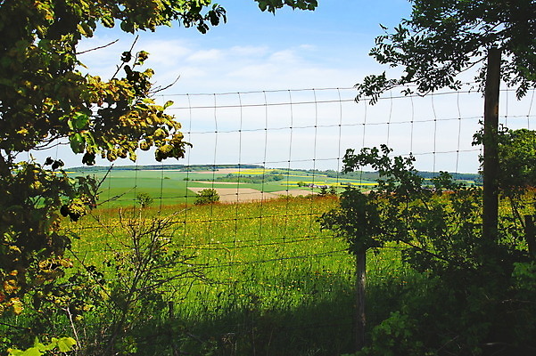 포토 JPG 해외이미지 사람없음 해외202004 해외포토 파일형식 이미지허브