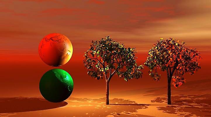 포토 JPG 해외이미지 나무 꽃 선 백그라운드 오렌지 일러스트 풍경 사람없음 빨간색 초록색 컬러풀 세계 노란색 3D 행성 가을 숲 생태학 수평선 해외202004 해외포토 식물 계절 교육 컬러 과일 우주 디지털합성 파일형식 이미지허브