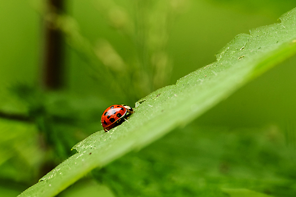 포토 JPG 해외이미지 도로 백그라운드 농업 자동차 추상 미래 거리 풍경 사람없음 경제 빛 도시풍경 컬러풀 환경 어둠 고요 황혼 새벽 활발 성장 광선 도시 원형 야간 소프트포커스 질감 복고 보리 장면 부드러움 타운 빛망울 광 블러 스펙트럼 파스텔톤 유흥 해외202004 해외포토 자연요소 도형 산업 길 육상교통 컬러 컨셉 무늬 교통시설 곡류 촬영기법 일몰 감각 파일형식 이미지허브