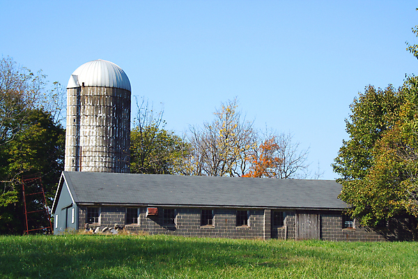 포토 JPG 해외이미지 나무 밭 농업 하늘 사람없음 건물 빨간색 초록색 농장 가을 농촌 시골 외양간 사일로 옛날 해외202004 해외포토 식물 건축물 계절 산업 컬러 파일형식 이미지허브