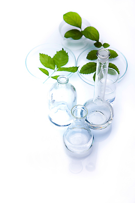 포토 JPG 해외이미지 식물 실내 실험 사람없음 액체 화학 실험실 플라스크 흰배경 비커 화학실험 샬레 해외202004 해외포토 과학 백그라운드 실험기구 내부 흰색 파일형식 이미지허브