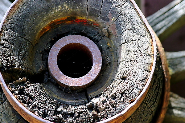 포토 JPG 해외이미지 전통 라이프스타일 외관 농업 교통시설 사람없음 야외 목재 농장 금속 목장 수확 골동품 시골 바퀴 역사 닫기 철 묘사 부식 마차 외양간 옛날 해외202004 해외포토 나무 산업 교통수단 교통 재료 모션 재질 생활 시설 파일형식 이미지허브