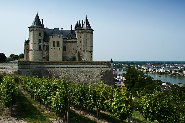 포토 JPG 해외이미지 전통 외관 유럽 문화 여행 건축양식 주택 파노라마 풍경 사람없음 야외 건물 여름 강 세계 태양 와인 계곡 궁전 프랑스 역사 재산 포도밭 포도나무 타운 프랑스어 옛날 해외202004 해외포토 자연요소 문자 건축물 계절 건축 나라 고건축 밭 주류 촬영기법 금융 도시 과일나무 파일형식 이미지허브