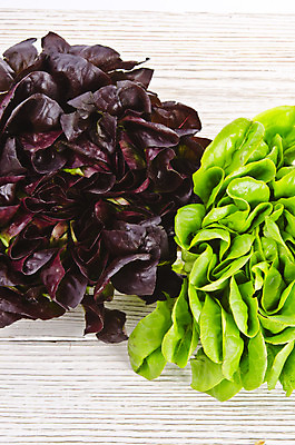 포토 JPG 해외이미지 식물 음식 잎 다이어트 채소 과일 건강 사람없음 빨간색 초록색 갈색 샐러드 흰색 신선 달콤 상추 먹기 유기농 섞기 해외202004 해외포토 웰빙 컬러 모션 맛 파일형식 이미지허브