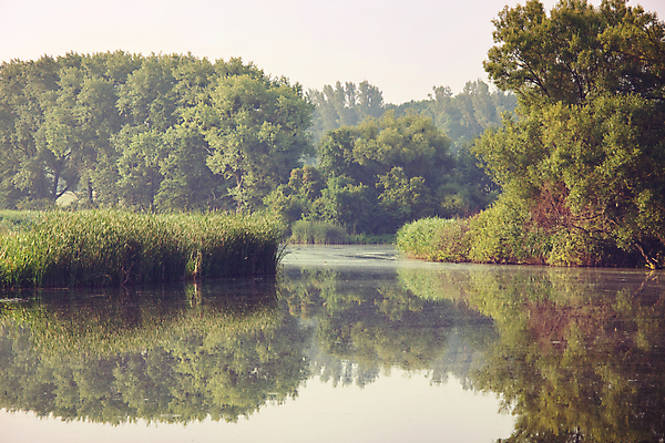 포토 JPG 해외이미지 나무 식물 계절 꽃잎 꽃 호수 여행 백그라운드 잎 자연 아침 휴식 산 연꽃 풍경 사람없음 장식 초록색 물 여름 빛 농경지 일출 정원 맑음 봄 젖음 벚꽃 연못 닫기 숲 백합 불기 묘사 내추럴 꽃수술 우수 해외202004 해외포토 주간 자연요소 컬러 컨셉 모션 날씨 농장 노을 절기 생태계 파일형식 이미지허브