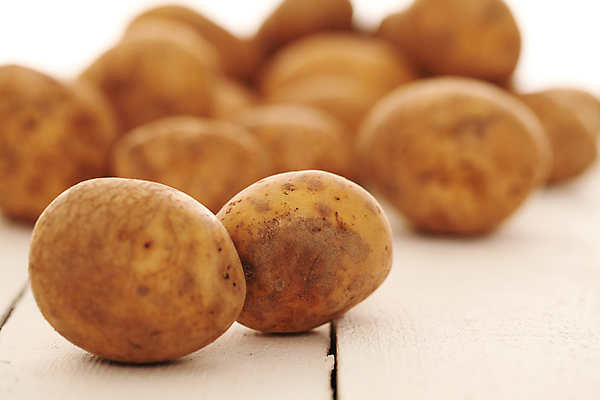 포토 JPG 해외이미지 식물 음식 백그라운드 농업 다이어트 채소 재료 자연 탁자 새로움 감자 건강 그림자 사람없음 목재 갈색 쌓기 주방 저녁식사 수확 가을 흰색 시골 신선 그룹 맛 유기농 원예 날것 내추럴 밭일 생식 생태학 채식주의자 많음 비건 해외202004 해외포토 나무 웰빙 계절 교육 산업 컬러 가구 컨셉 모션 취미 식사 생태계 채식 파일형식 이미지허브