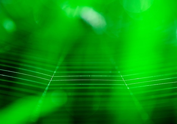 포토 JPG 해외이미지 식물 디자인 계절 공원 백그라운드 컨셉 잎 패턴 밭 자연 하늘 추상 부활절 미술 풍경 잔디 사람없음 아웃포커스 초록색 여름 빛 컬러풀 태양 정원 맑음 봄 새벽 안개 신선 닫기 보케 내추럴 블러 효과 해외202004 해외포토 자연요소 공공시설 기념일 컬러 무늬 농업 모션 날씨 문화예술 촬영기법 생태계 파일형식 이미지허브