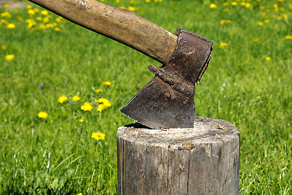 포토 JPG 해외이미지 사람없음 야외 목재 장비 기구 공구 통나무 도끼 수목 옛날 해외202004 해외포토 나무 재료 도구 파일형식 이미지허브