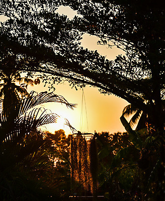 포토 JPG 해외이미지 나무 실루엣 여행 백그라운드 밭 자연 벽지 하늘 휴가 그림자 풍경 사람없음 야외 농장 일출 계곡 일몰 안개 시골 호주 오지 해외202004 해외포토 식물 농업 날씨 촬영기법 노을 오세아니아 생태계 파일형식 이미지허브